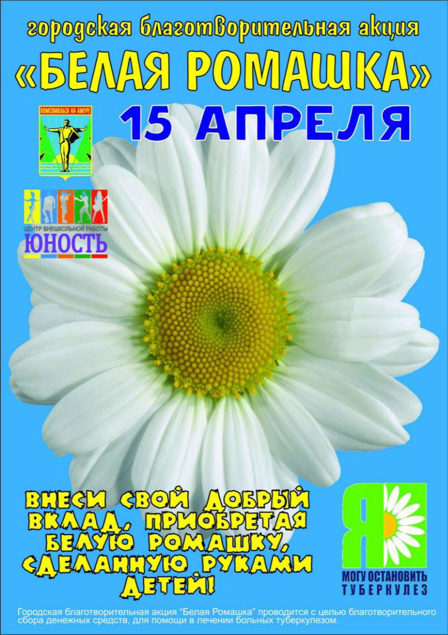 Благотворительная акция "Белая ромашка" 0