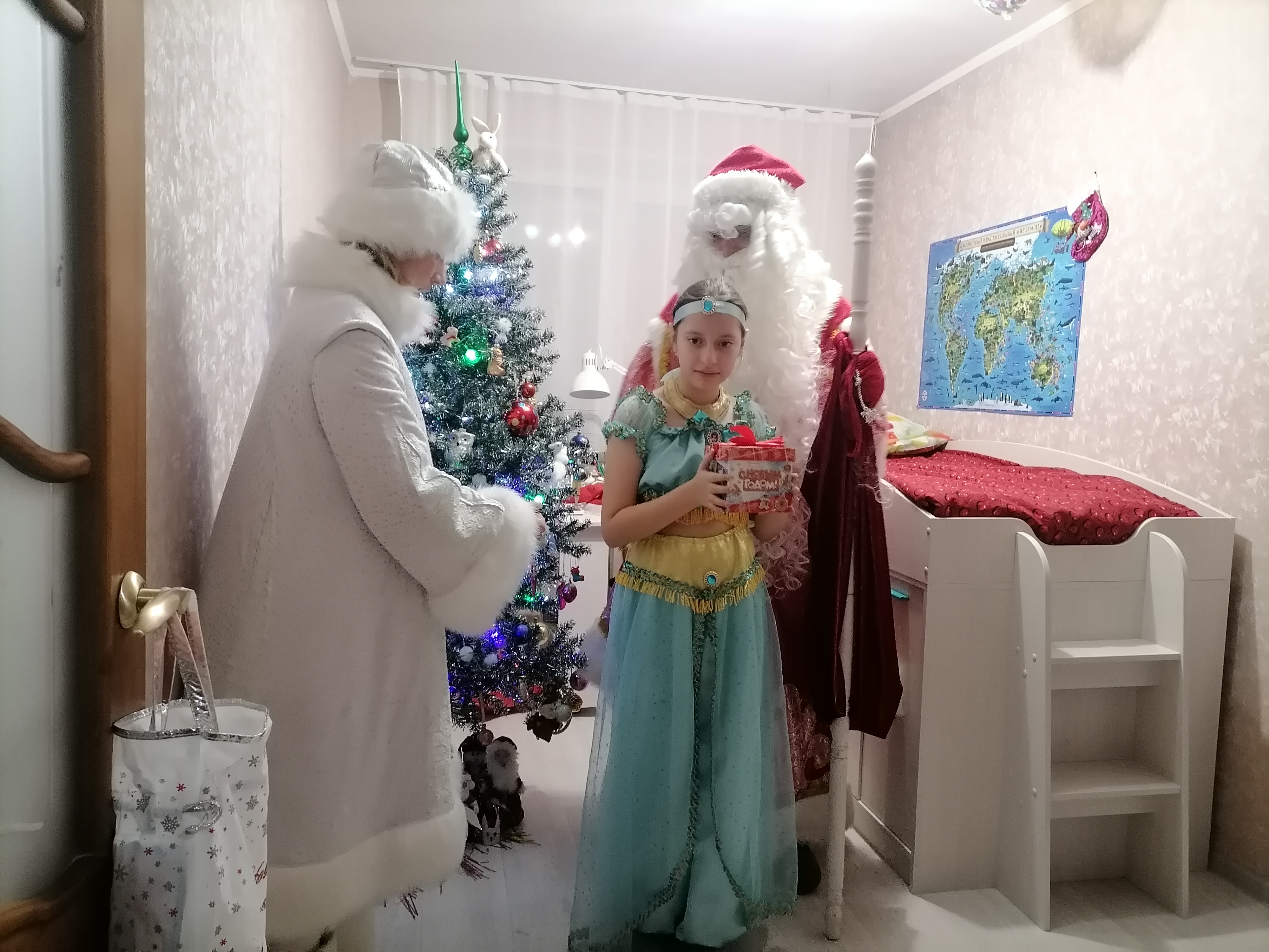 Дед Мороз и Снегурочка в каждый дом 8